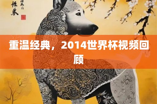 重温经典，2014世界杯视频回顾