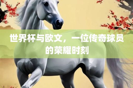世界杯与欧文，一位传奇球员的荣耀时刻