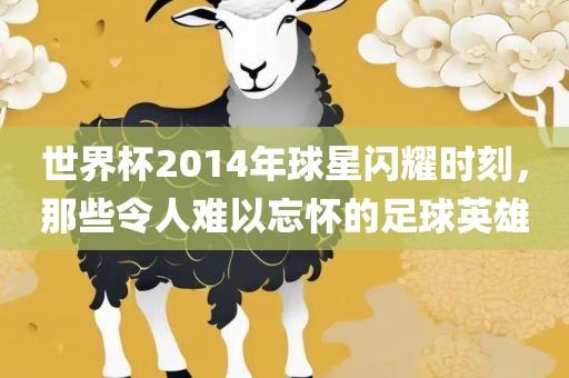 世界杯2014年球星闪耀时刻，那些令人难以忘怀的足球英雄
