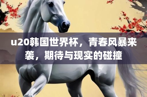 u20韩国世界杯，青春风暴来袭，期待与现实的碰撞