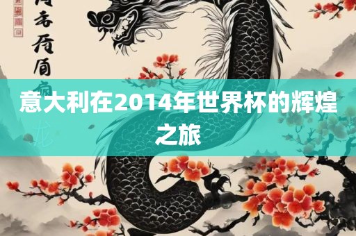 意大利在2014年世界杯的辉煌之旅