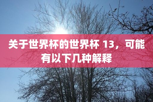 关于世界杯的世界杯 13，可能有以下几种解释