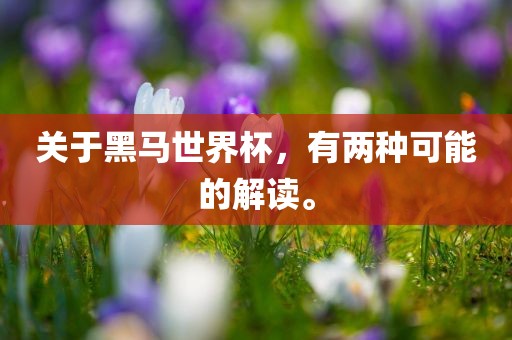 关于黑马世界杯，有两种可能的解读。