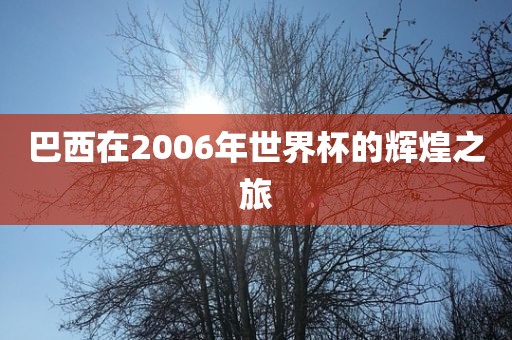 巴西在2006年世界杯的辉煌之旅