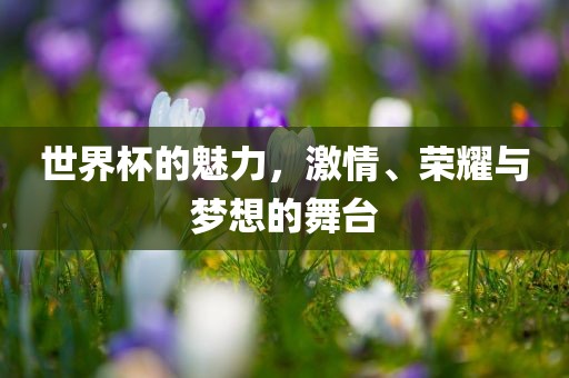 世界杯的魅力，激情、荣耀与梦想的舞台