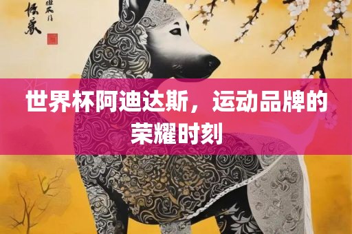 世界杯阿迪达斯，运动品牌的荣耀时刻