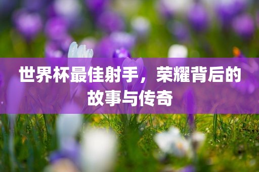 世界杯最佳射手，荣耀背后的故事与传奇
