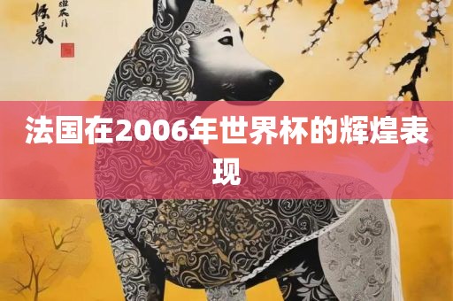 法国在2006年世界杯的辉煌表现