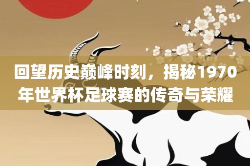 回望历史巅峰时刻，揭秘1970年世界杯足球赛的传奇与荣耀