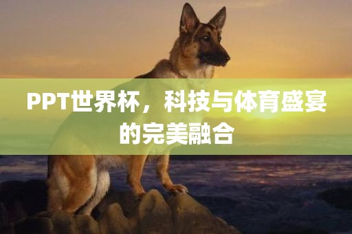 PPT世界杯，科技与体育盛宴的完美融合