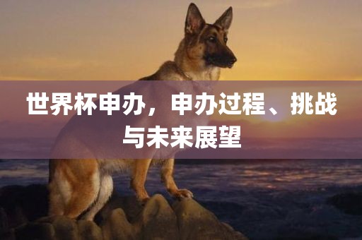 世界杯申办，申办过程、挑战与未来展望