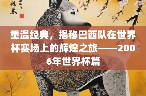 重温经典，揭秘巴西队在世界杯赛场上的辉煌之旅——2006年世界杯篇