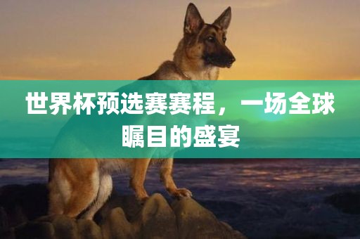 世界杯预选赛赛程，一场全球瞩目的盛宴