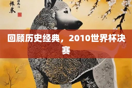 回顾历史经典，2010世界杯决赛