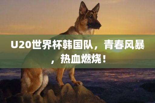 U20世界杯韩国队，青春风暴，热血燃烧！