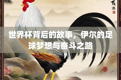 世界杯背后的故事，伊尔的足球梦想与奋斗之路