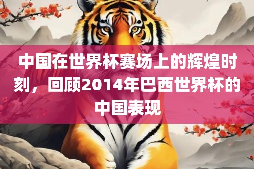 中国在世界杯赛场上的辉煌时刻，回顾2014年巴西世界杯的中国表现