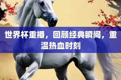 世界杯重播，回顾经典瞬间，重温热血时刻