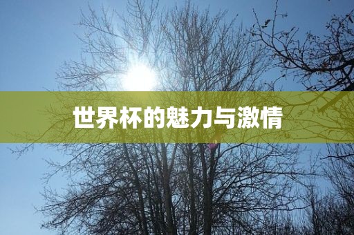 世界杯的魅力与激情