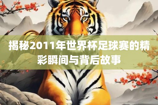 揭秘2011年世界杯足球赛的精彩瞬间与背后故事