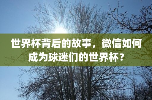 世界杯背后的故事，微信如何成为球迷们的世界杯？