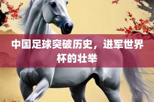 中国足球突破历史，进军世界杯的壮举