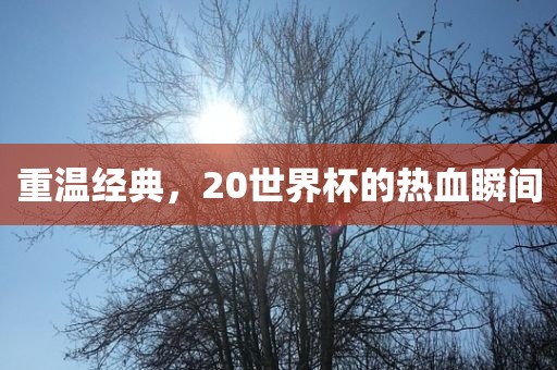 重温经典，20世界杯的热血瞬眉山市正发家政服务有限公司间