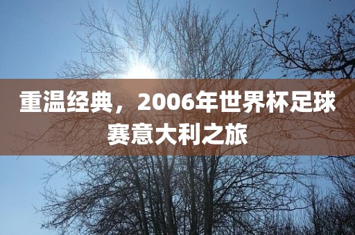 重温经典，2006年世界杯足球赛意大利之旅
