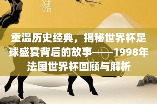 重温历史经典，揭秘世界杯足球盛宴背后的故事——1998年法国世界杯回顾与解析