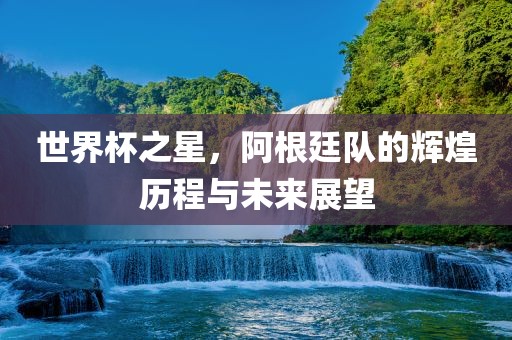 世界杯之星，阿根廷队的辉煌历程与未来展望