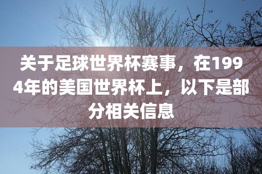 关于足球世界杯赛事，在1994年的美国世界杯上，以下是部分相关信息