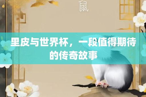 里皮与世界杯，一段值得期待的传奇故事