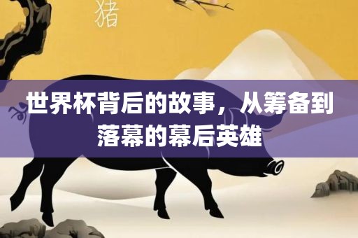 世界杯背后的故事，从筹备到落幕的幕后英雄
