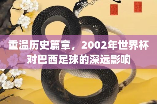 重温历史篇章，2002年世界杯对巴西足球的深远影响