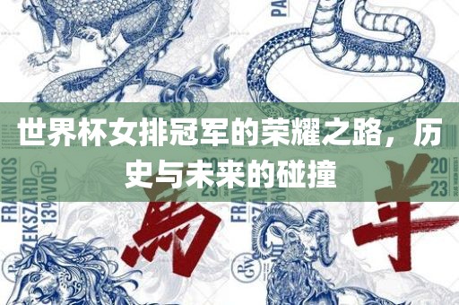 世界杯女排冠军的荣耀之路，历史与未来的碰撞