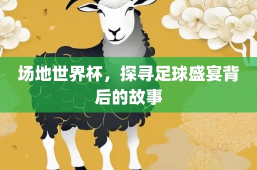 场地世界杯，探寻足球盛宴背后的故事
