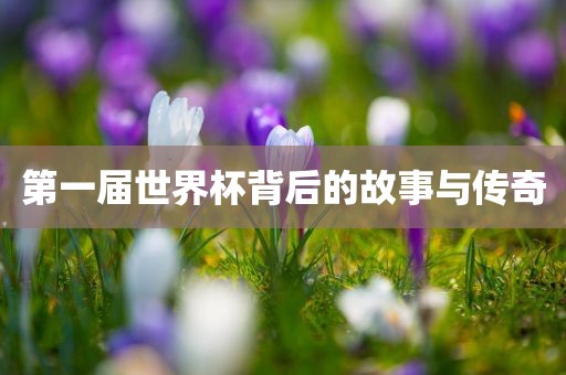 第一届世界杯背后的故事与传奇