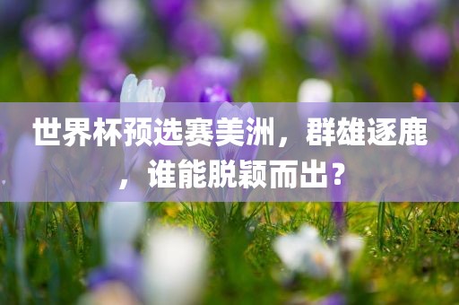 世界杯预选赛美洲，群雄逐鹿，谁能脱颖而出？