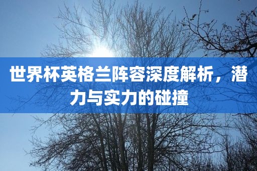 世界杯英格兰阵容深度解析，潜力与实力的碰撞
