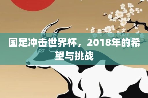 国足冲击世界杯，2018年的希望与挑战