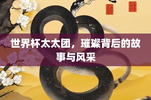 世界杯太太团，璀璨背后的故事与风采