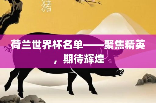 荷兰世界杯名单——聚焦精英，期待辉煌