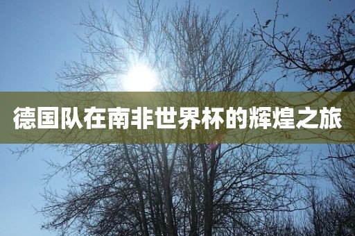 德国队在南非世界杯的辉煌之旅