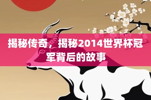 揭秘传奇，揭秘2014世界杯冠军背后的故事