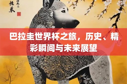 巴拉圭世界杯之旅，历史、精彩瞬间与未来展望