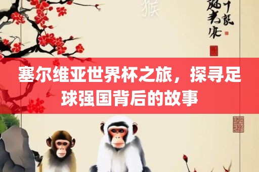 塞尔维亚世界杯之旅，探寻足球强国背后的故事
