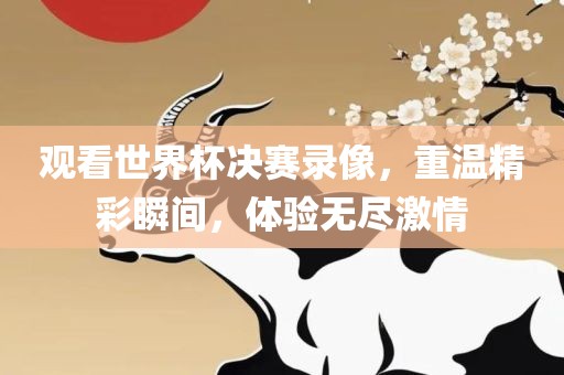观看世界杯决赛录像，重温精彩瞬间，体验无尽激情