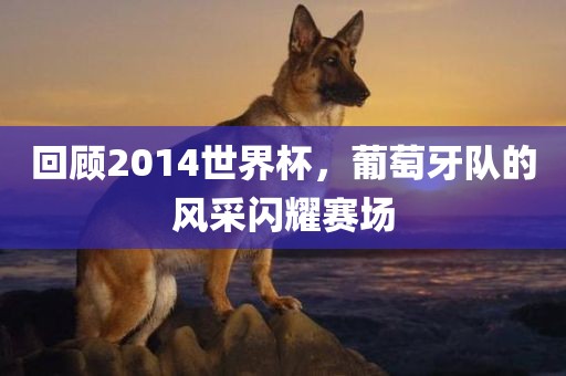 回顾2014世界杯，葡萄牙队的风采闪耀赛场