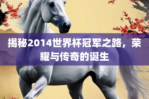 揭秘2014世界杯冠军之路，荣耀与传奇的诞生