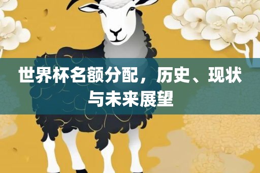 世界杯名额分配，历史、现状与未来展望